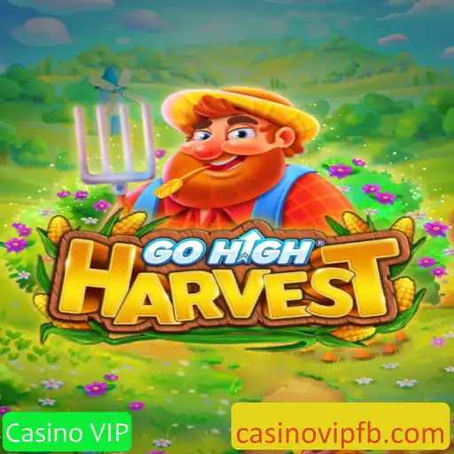 Discovering GoHighHarvest: The Ultimate Casino VIP Experience